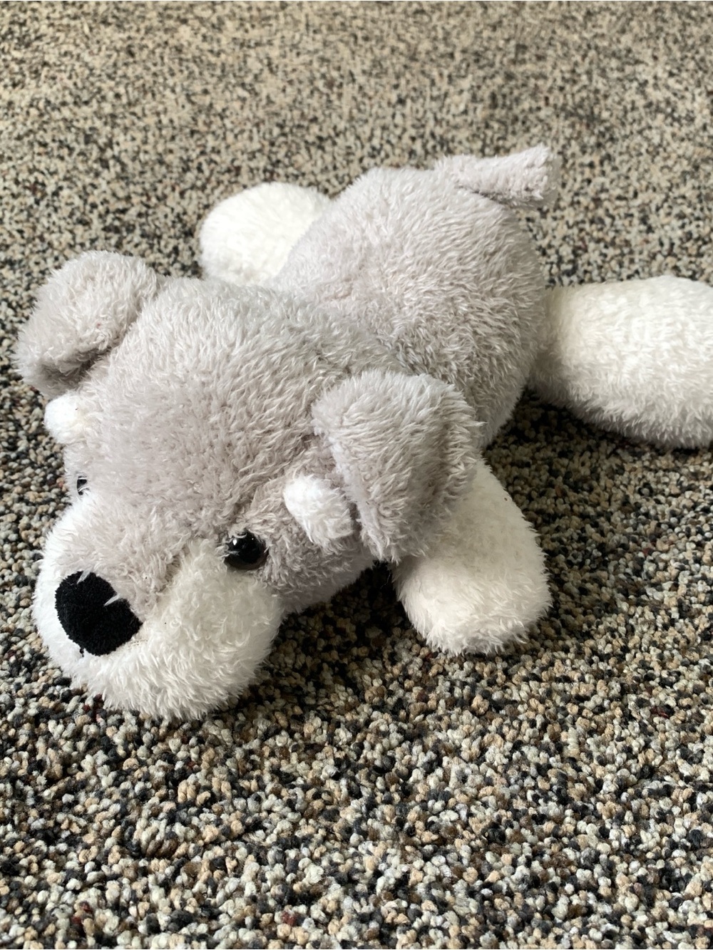 Spark Create Imagine Gray and White Puppy Dog Schnauzer Walmart